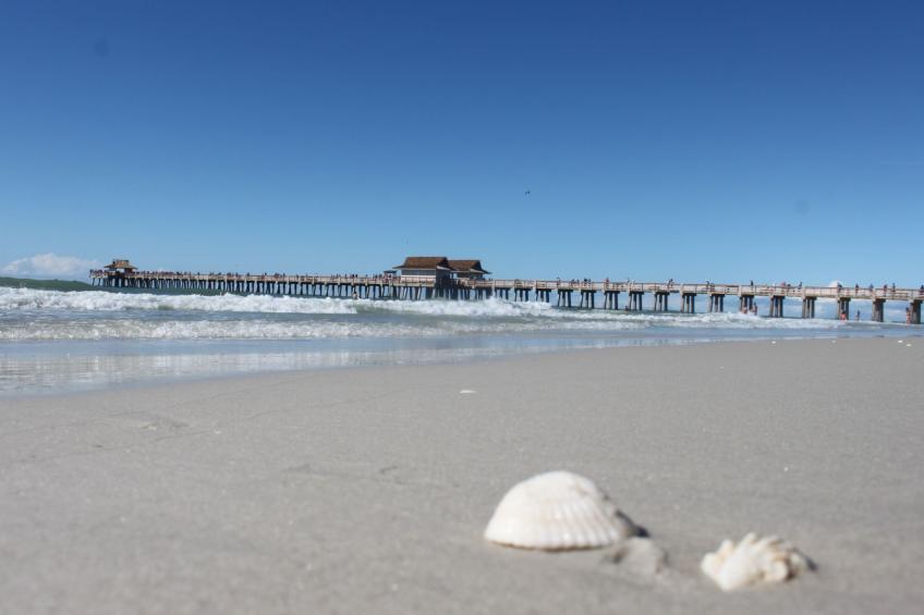 mit großzügigem Swimmingpool - foto 27