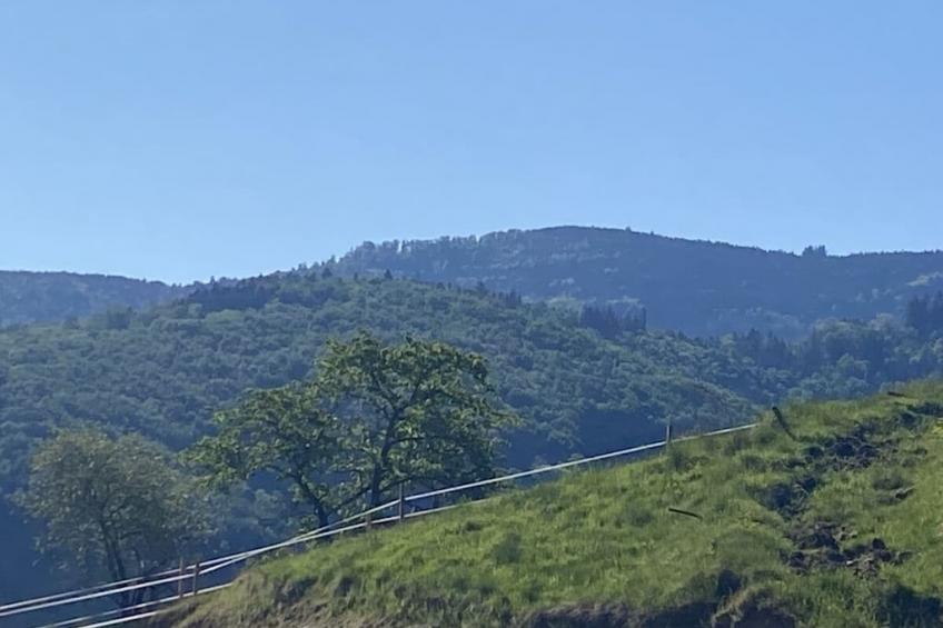 576220 - foto 11