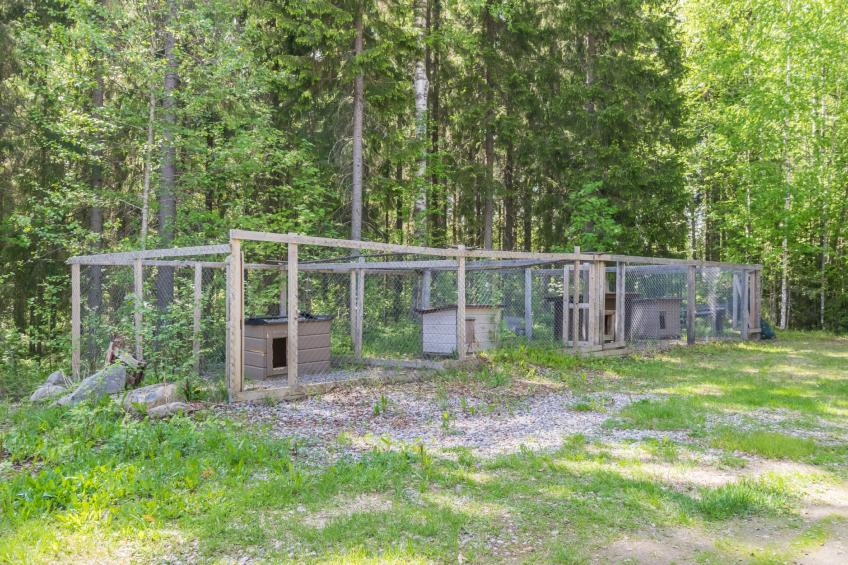Hankamaja - foto 26