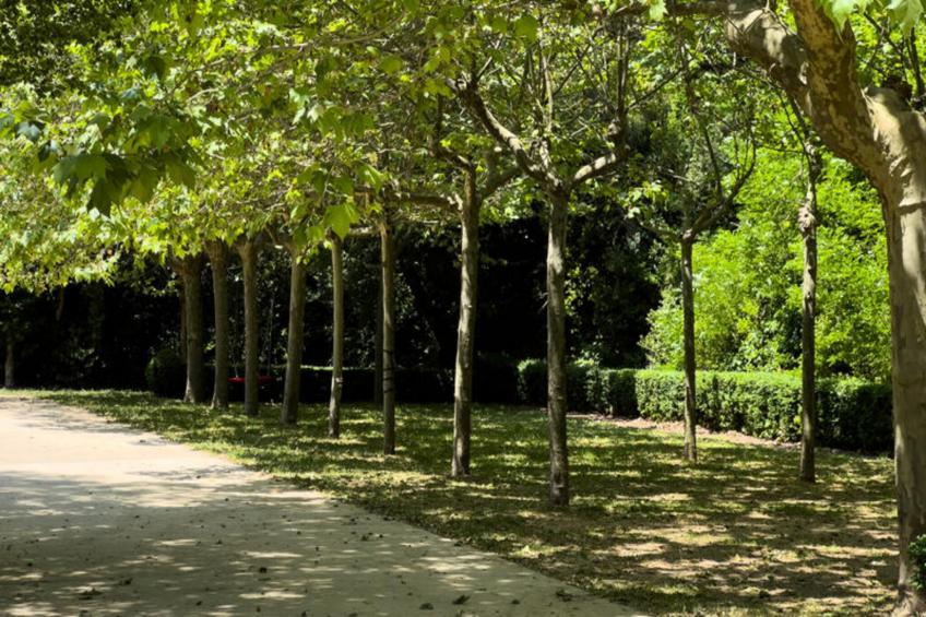 Maison à Sant Hilari Sacalm - foto 74