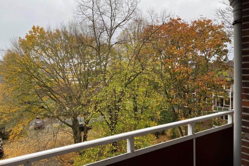 Moderne Wohnung in Neudorf - foto 11