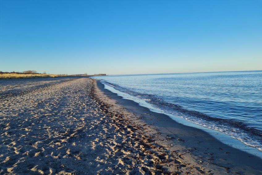 Camp  de Mar - foto 17