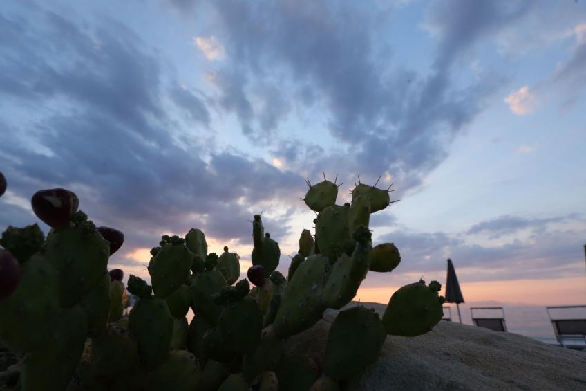 Appartement in Marchesana mit Großer Terrasse - foto 35