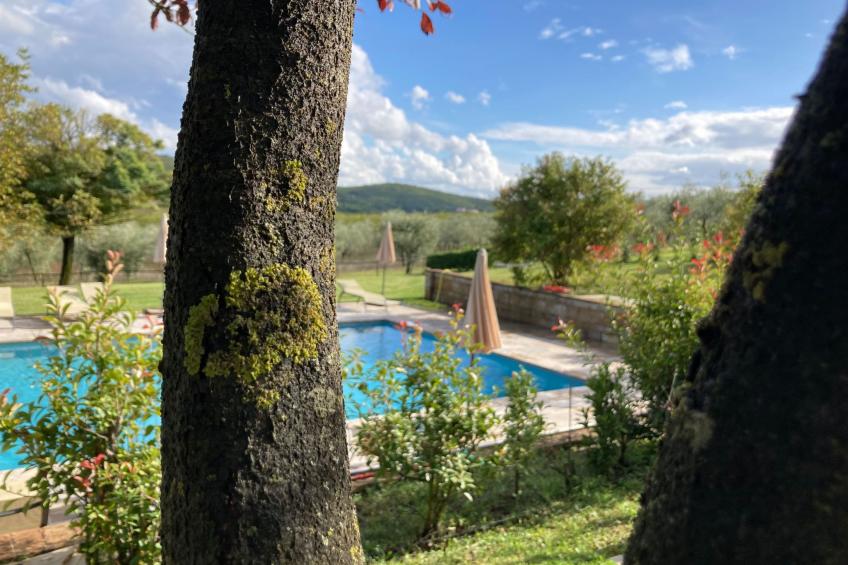 Agriturismo Podere il Moro - foto 12