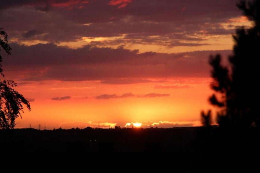 Au Pas Perdu - foto 29