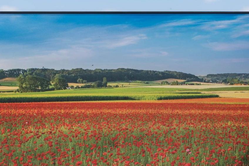 Ferienvilla "Wellness Akkerland" - foto 3