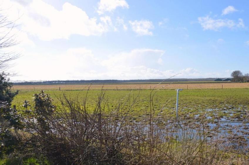 De Kibbelhoeve - foto 33