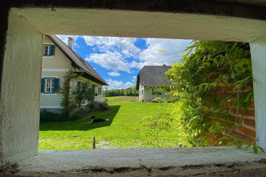 Kellerstöckl am veganen Bio-Lebenshof - Varm - the vegan Farm - foto 24