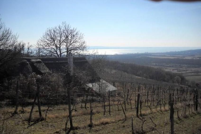 Hétkanyar Vendégház - foto 30