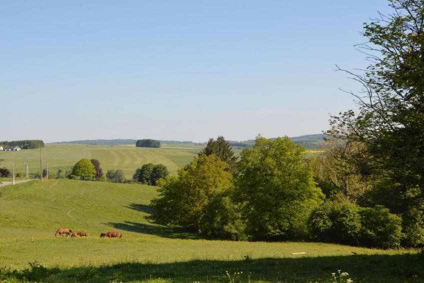 C'est mon daim - foto 34
