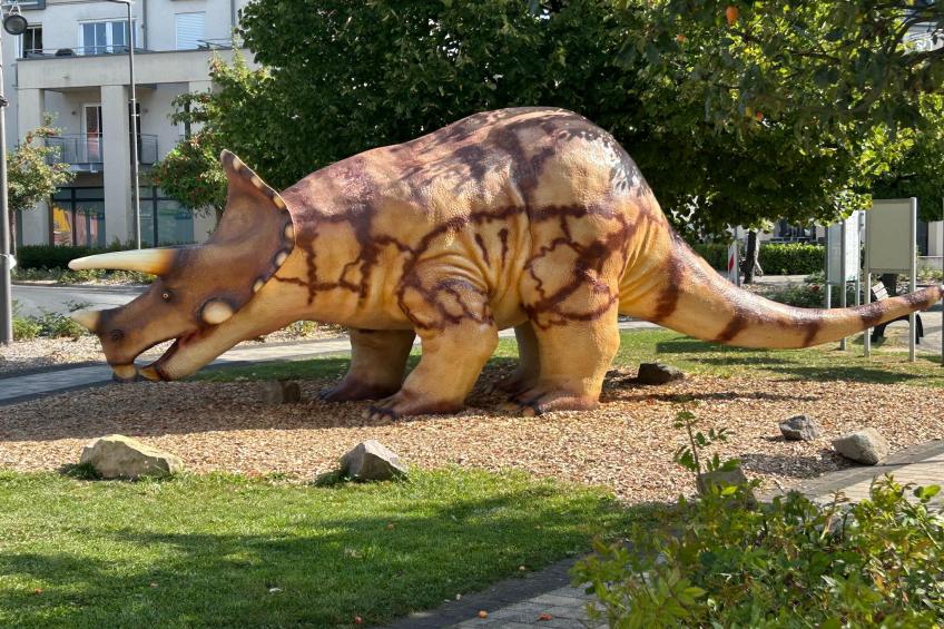 am Schäferhof - foto 30