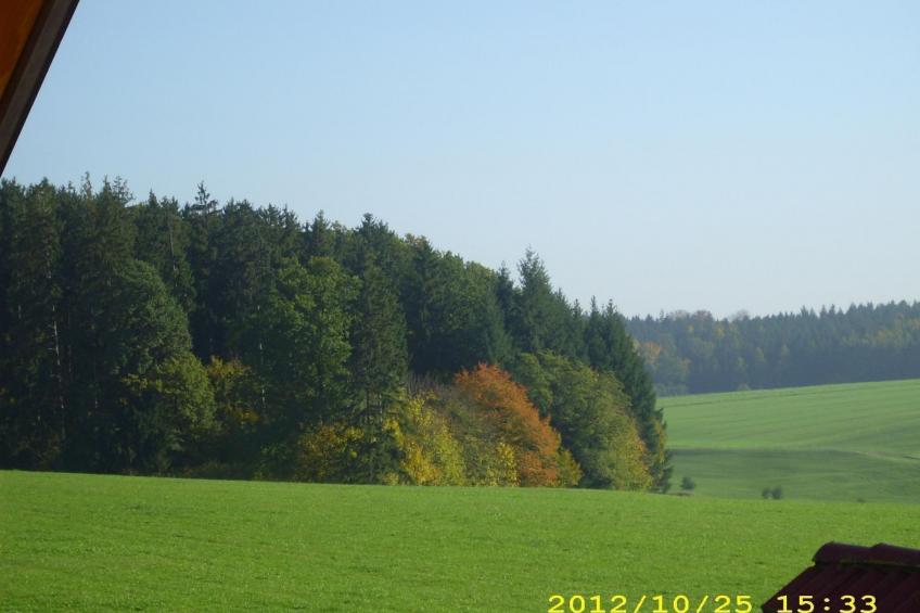 Wohnung in Oberwaldbach mit Garten und Grill - foto 21