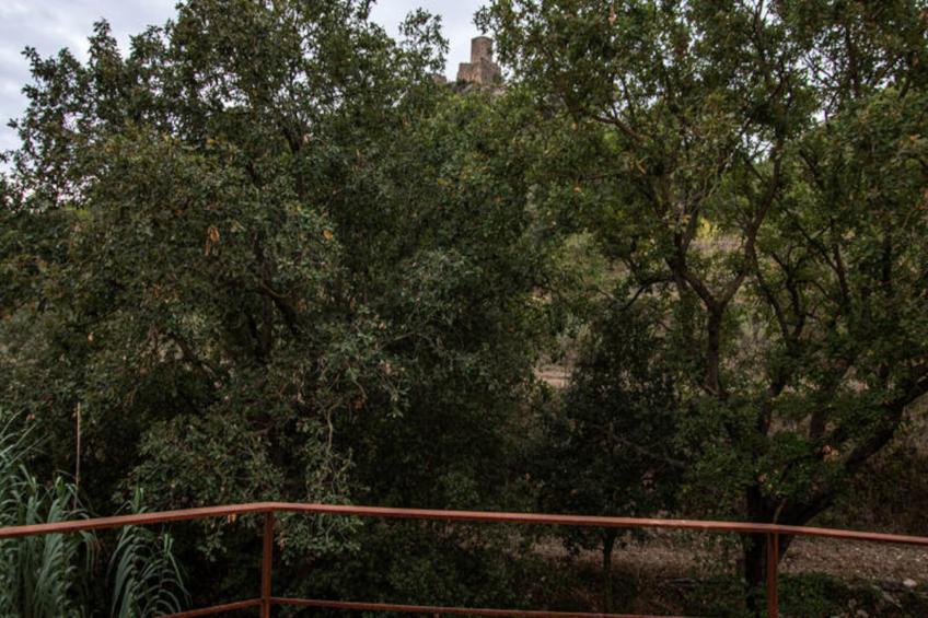 Mobil Home - Bungalow - Cottage à Boadella i les Escaules - foto 75