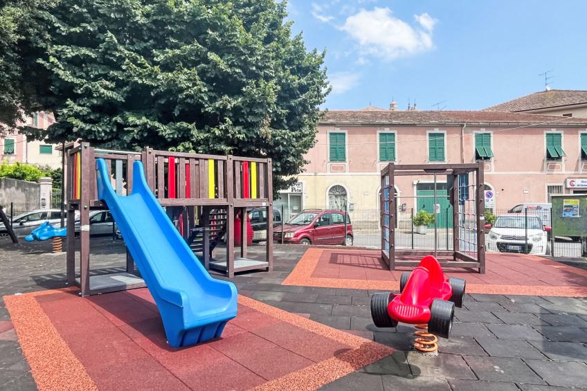 Le radici dell´ulivo - foto 29