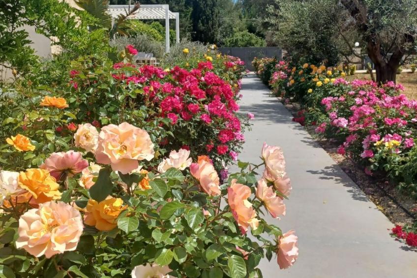 'Casa Cellina' zwischen Meer und Landschaft - foto 15