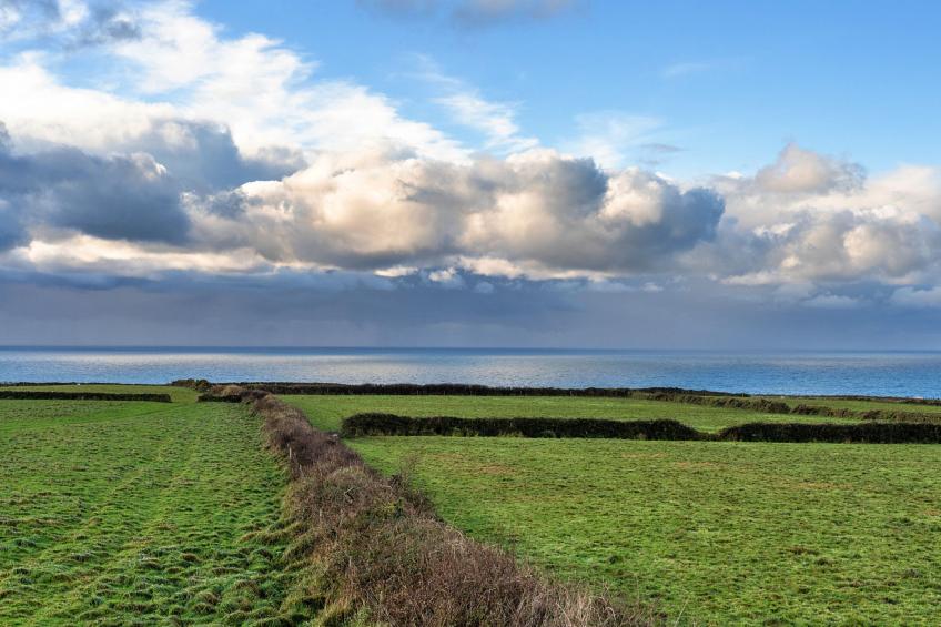 Treknow Summerhut - foto 4