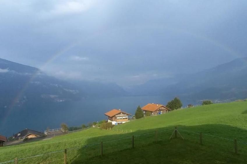 Traumblick Krattigen - foto 16