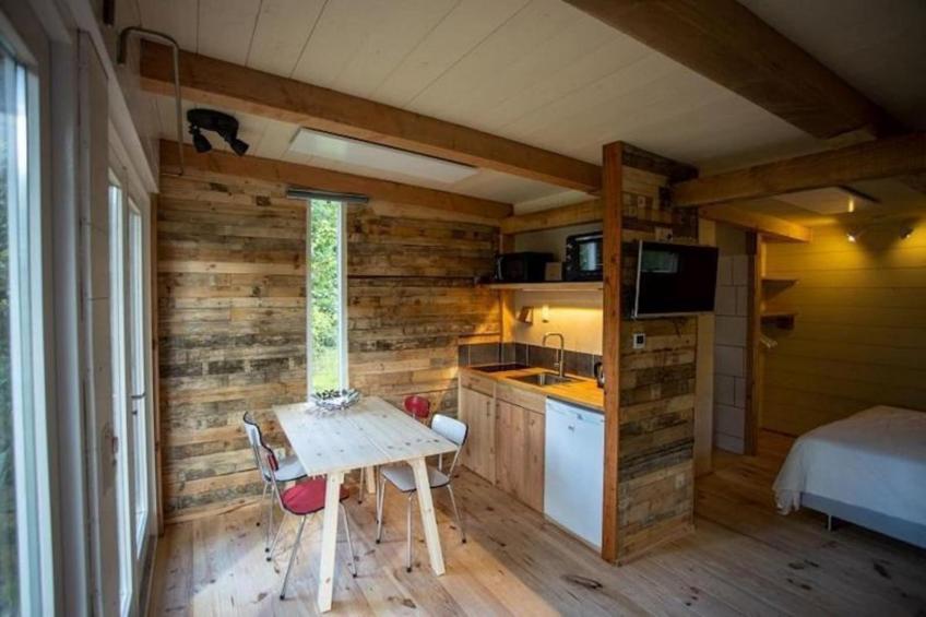 Campanula 171 - foto 2