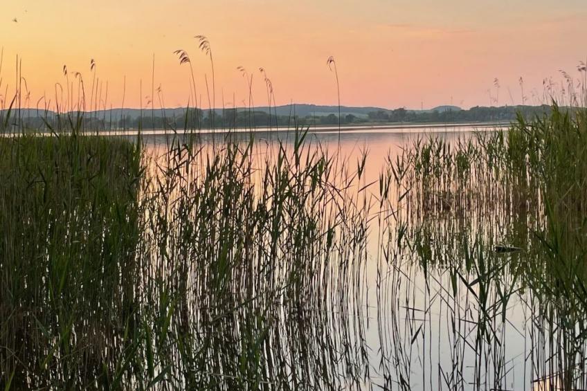 mit Sauna und Kaminofen - foto 26