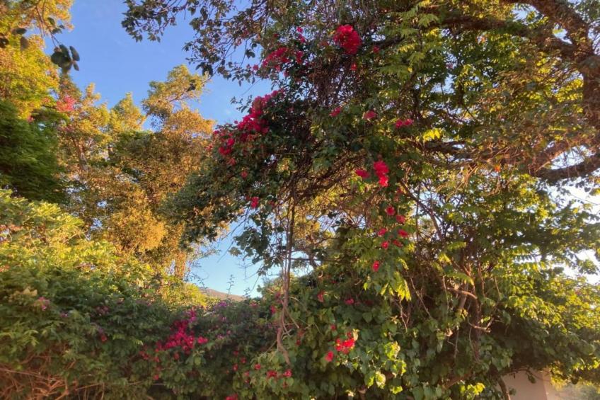 Villa Foz do Banho - foto 35