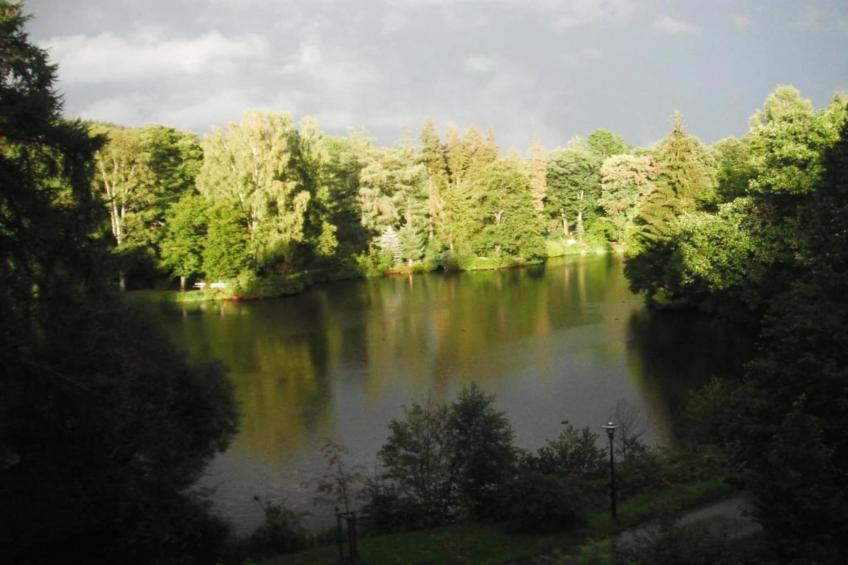 Bad Elster - foto 37