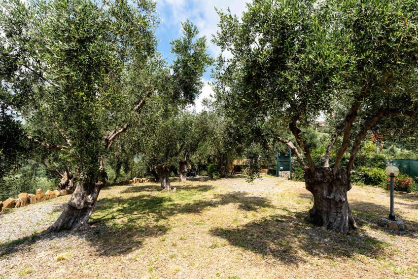 Olive Lodge - foto 41