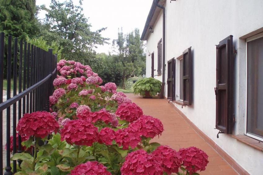 'Fasan' mit Balkon - foto 38