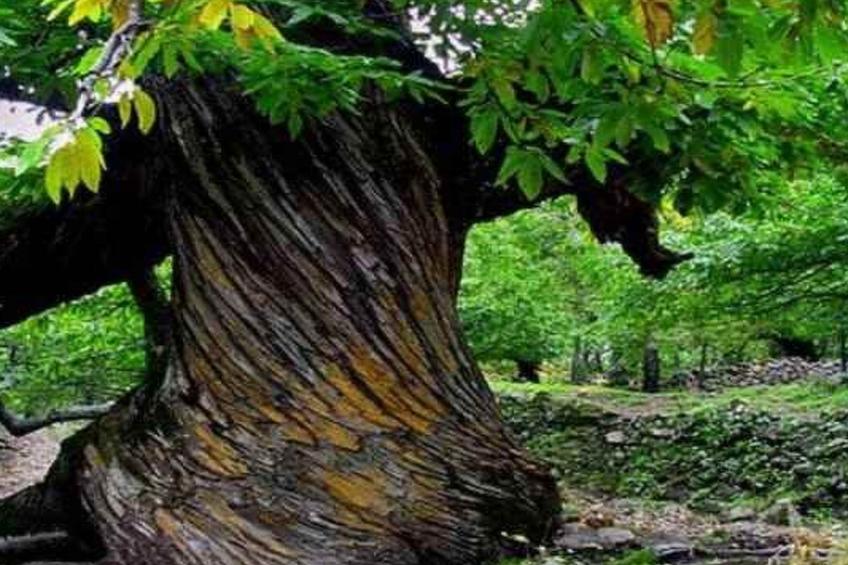 Ideales Refugium in Extremadura Komfort und Natur - foto 17