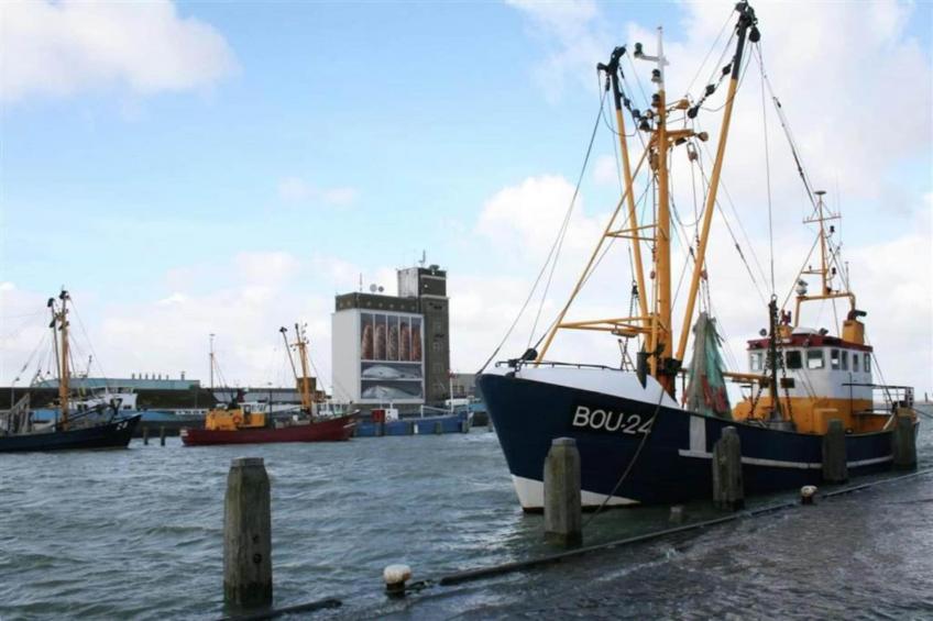 Het Platte Putje - Huisdier - nr 2 - foto 10