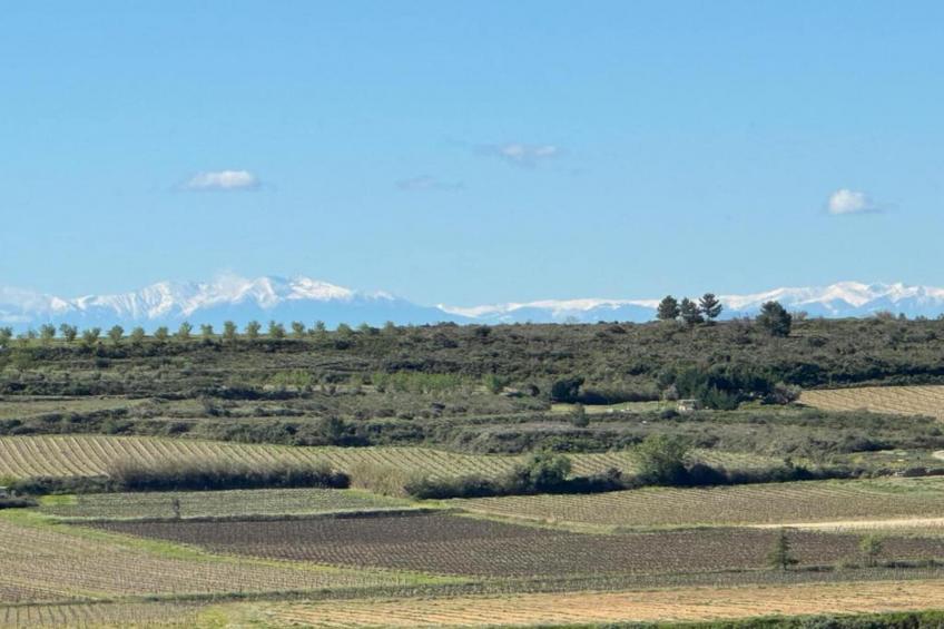 LA BOUSCADE GUESTHOUSE - foto 33