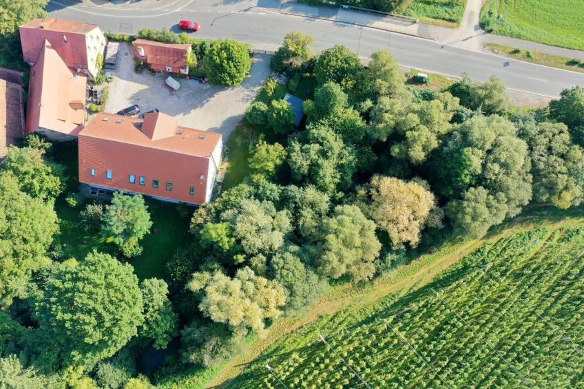 Schwabachauen 5 - foto 28