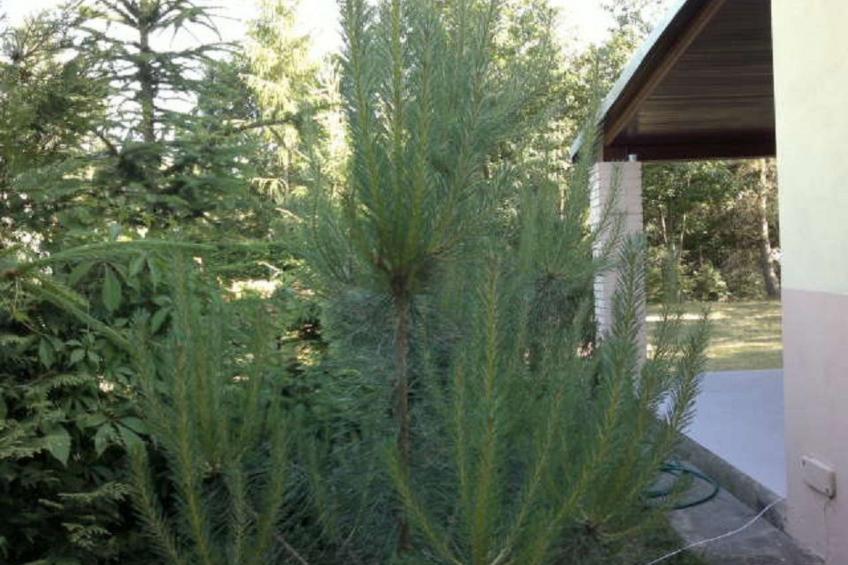 mit eingezäuntem Grundstück am Wasser - foto 3