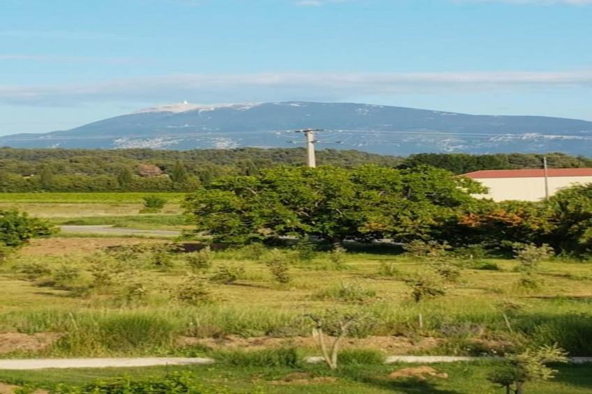 Villa Rose - foto 37