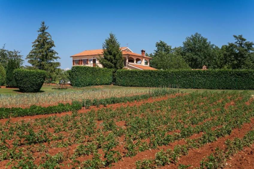 Villa "Villa Dani" mit privatem Pool - foto 5