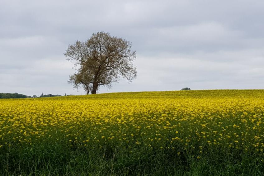 Beim Bracksee - foto 22