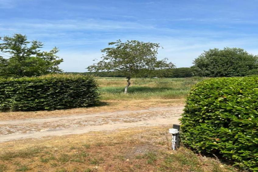 Residence De Eese - foto 20