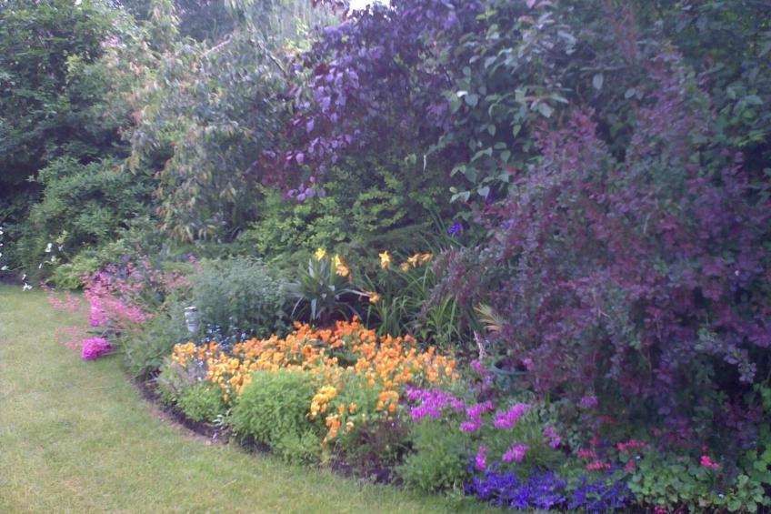 in ruhiger Lage am Waldrand - foto 15