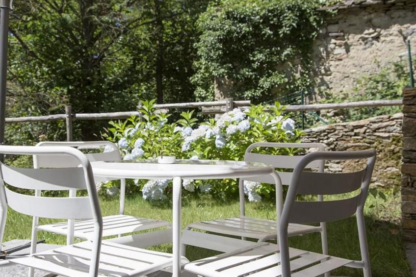 Lampone in San Bernardino Verbano - foto 12