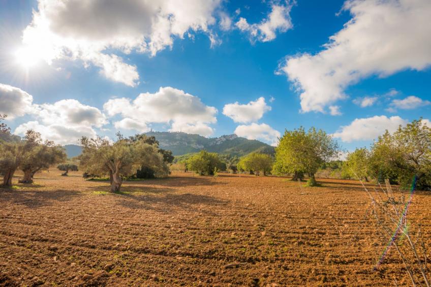 Bonavista (batle De Bonavista)\t - foto 25
