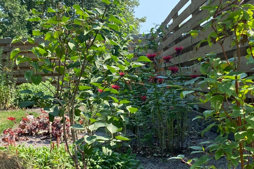 De Groninger Zeeuw - foto 37