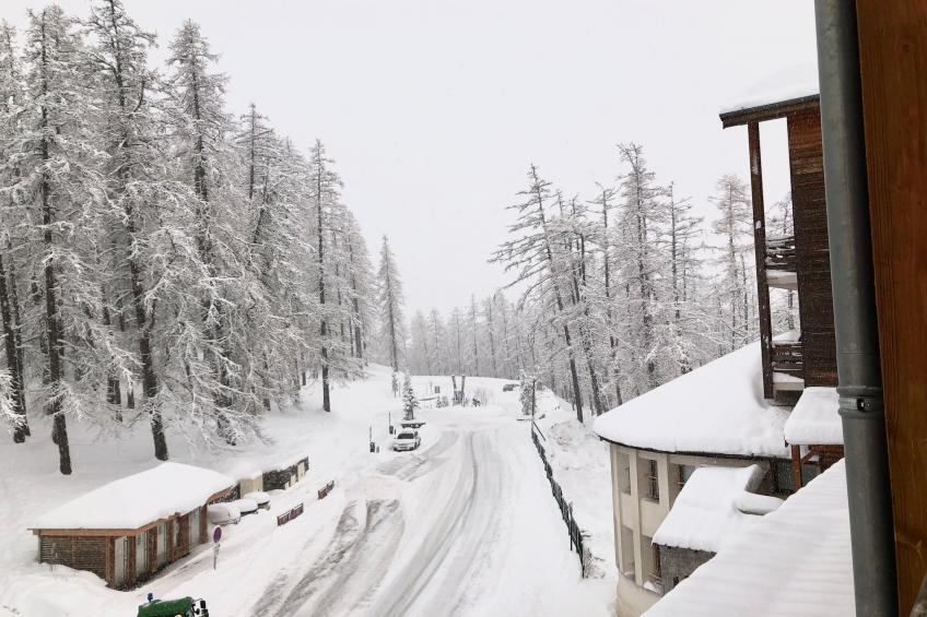 Adonis Valberg Studio - foto 12