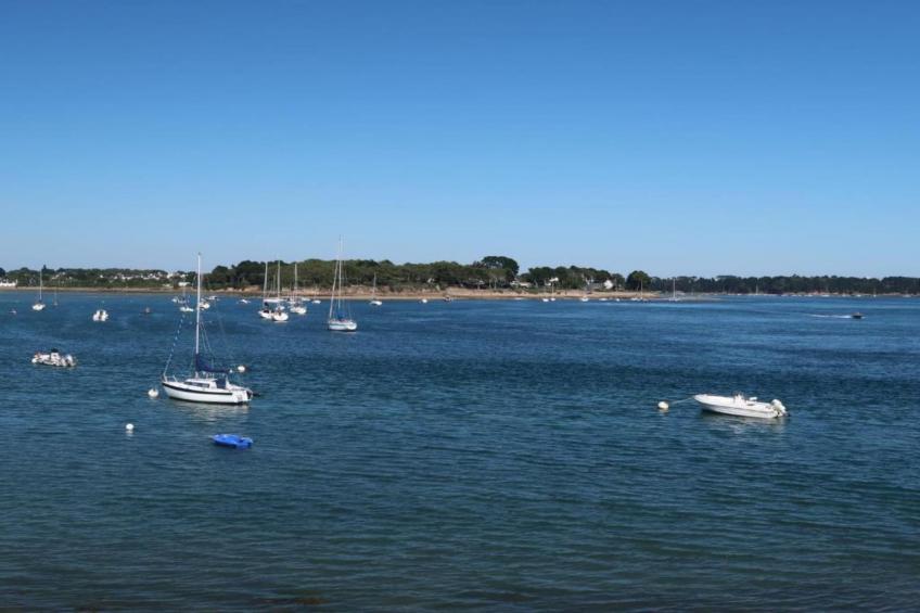 Les Iles du Morbihan - foto 20