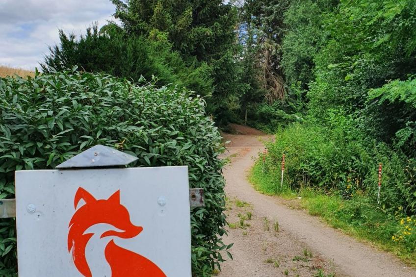 Jägerhaus - foto 11