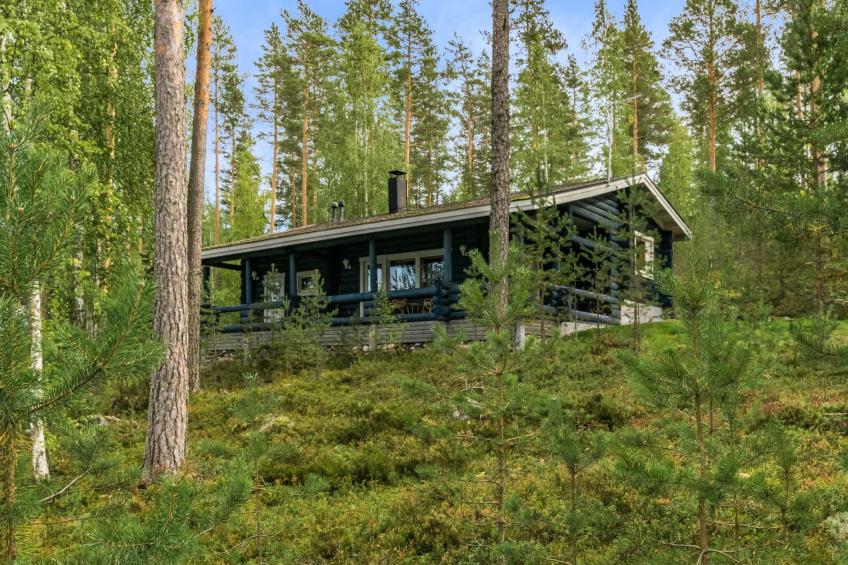 Joutsen, loma-aution lomamökit - foto 2