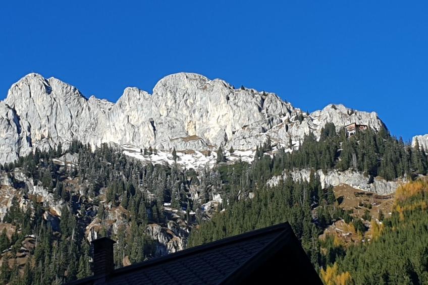 Fewo Alpenrose - foto 37