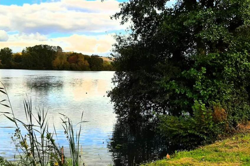 Résidence Of08 - Maison Entre Mer Et Forêt - foto 48