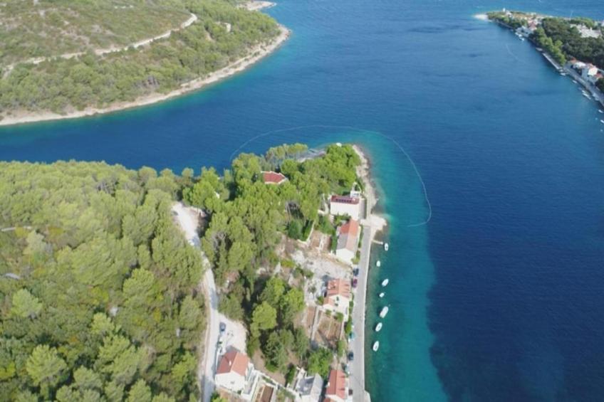 Apartments Agava & Lucija-Studio Apartment(First Floor) - foto 30