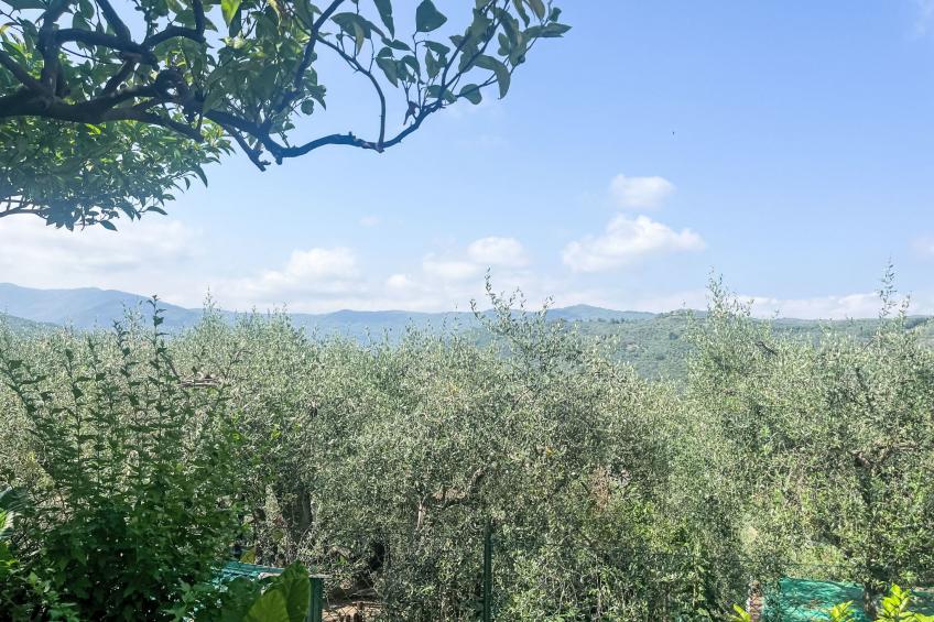 Casa Marisa (DOL126) - foto 32