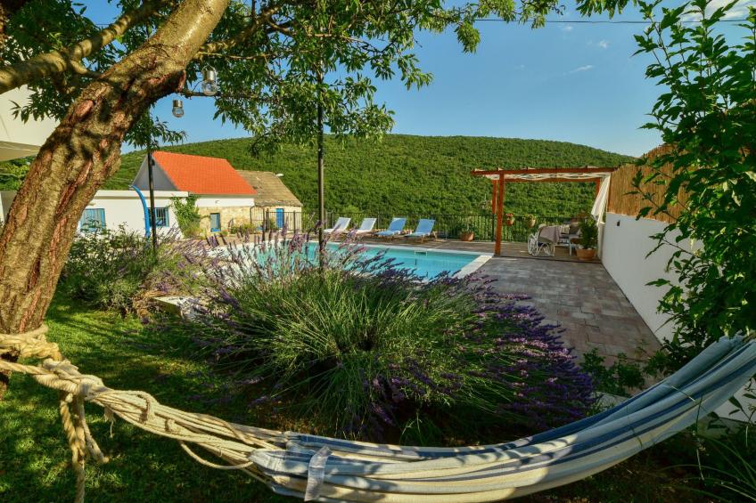 Dalmatinisches Landhaus Martin - foto 41