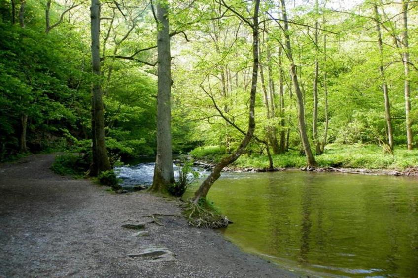 Heiderhof - Double Room Disability access - foto 19